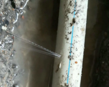 忠县卫生间测漏水多少钱